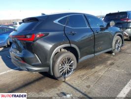Lexus NX 2024 2
