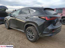 Lexus NX 2024 2