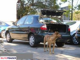 Daewoo Lanos 2002 1.5 90 KM