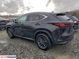 Lexus NX 2025 2