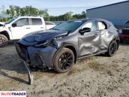 Lexus NX 2024 2