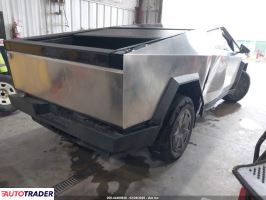 Tesla Pozostałe 2025