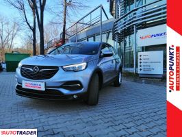 Opel Grandland X 2018 1.6 120 KM