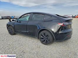 Tesla Model Y 2025