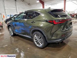 Lexus NX 2023 2