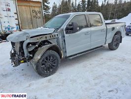 Ford Pozostałe 2024 3