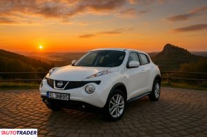 Nissan Juke 2013 1.6 117 KM