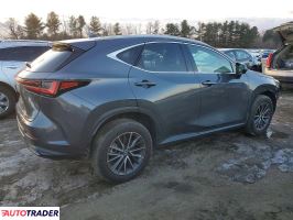 Lexus NX 2024 2