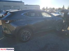 Lexus NX 2024 2