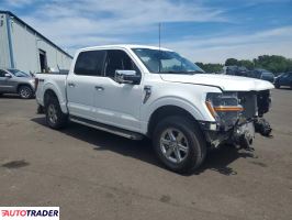 Ford Pozostałe 2024 2
