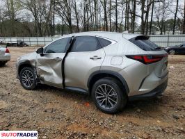 Lexus NX 2024 2
