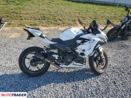 Kawasaki Pozostałe 2023 Kawasaki Pozostałe 2023