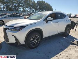 Lexus NX - zobacz ofertę