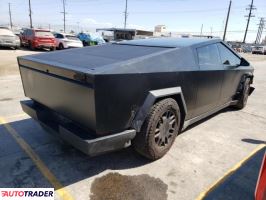 Tesla Pozostałe 2024