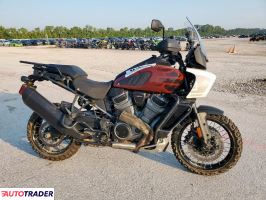 Harley-Davidson Pozostałe 2024
