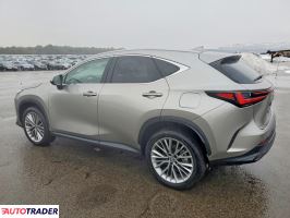 Lexus NX 2025 2