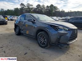 Lexus NX 2024 2