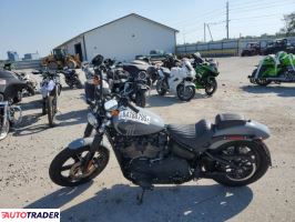 Harley-Davidson Pozostałe 2024