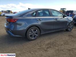 Kia Pozostałe 2024 2