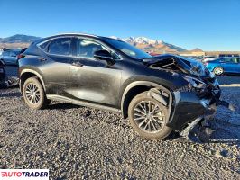 Lexus NX 2025 2
