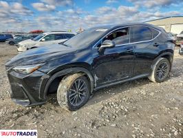 Lexus NX 2024 2