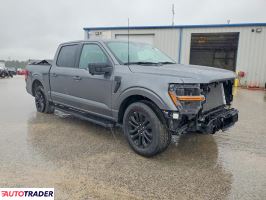 Ford Pozostałe 2025 2