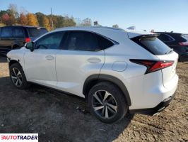 Lexus NX 2020 2