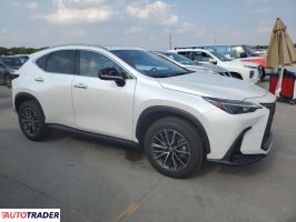 Lexus NX 2024 2