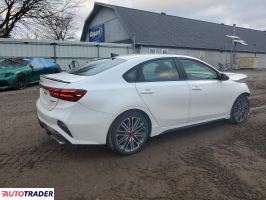 Kia Pozostałe 2024 1