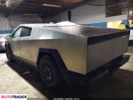 Tesla Pozostałe 2024