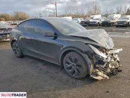 Tesla Model Y 2025