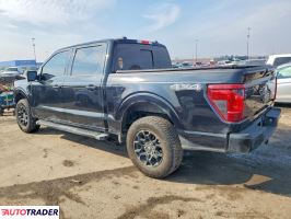 Ford Pozostałe 2024 2