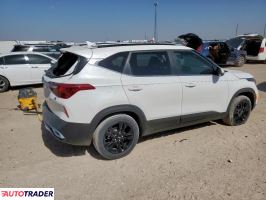 Kia Pozostałe 2021 2 Kia Pozostałe 2021 2