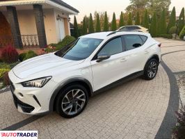 Cupra  - zobacz ofertę
