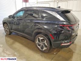 Hyundai Tucson 2024 2