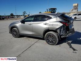 Lexus NX 2024 2