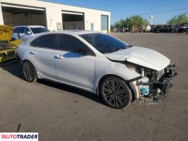 Kia Pozostałe 2024 1