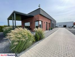 Mercedes Sprinter 2022 2