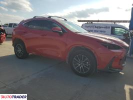 Lexus NX 2024 2