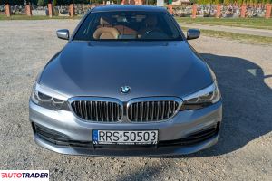 BMW 530 2019 2.0 252 KM