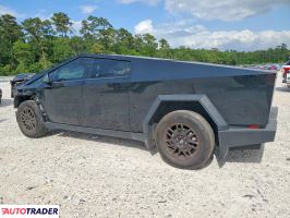 Tesla Pozostałe 2025