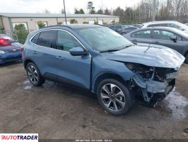 Ford Escape - zobacz ofertę