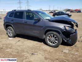 Jeep Cherokee 2019 2