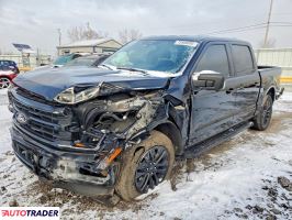 Ford Pozostałe 2024 3