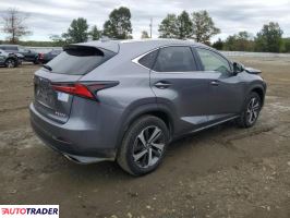 Lexus NX 2021 2
