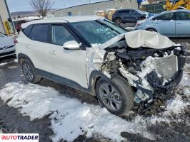 Kia Pozostałe 2024 2