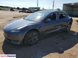 Tesla Model 3 2021 Tesla Model 3 2021