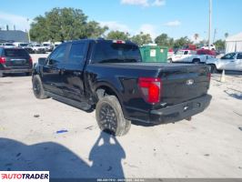 Ford Pozostałe 2024 2