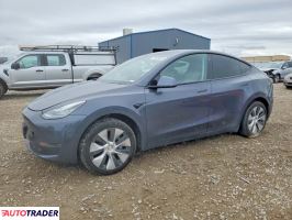 Tesla Model Y 2020