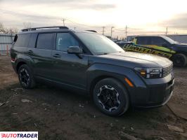 Hyundai Santa Fe 2024 2